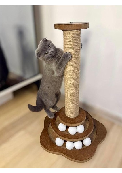 Kedi Oyun & Tırmalama Tahtası