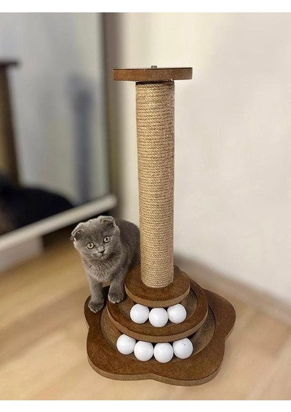 Kedi Oyun & Tırmalama Tahtası fiyatları