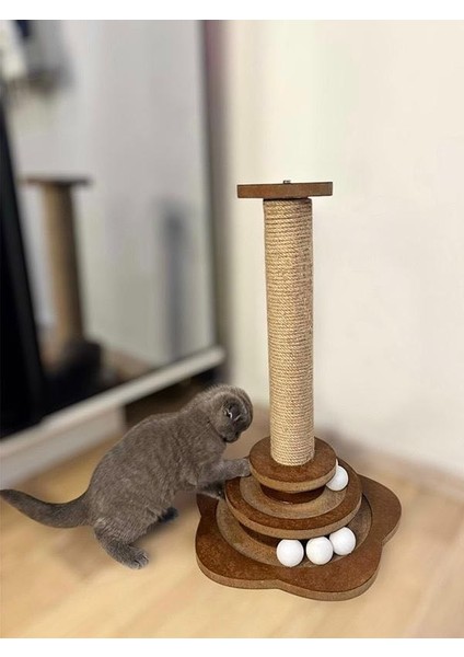 Kedi Oyun & Tırmalama Tahtası modelleri