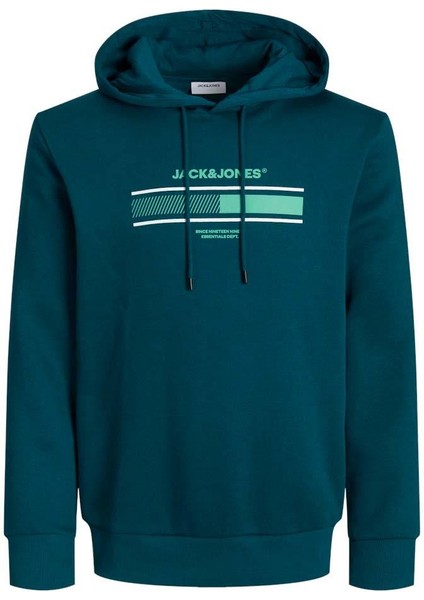 Jack&jones 12256820 Jjsouth Kapusonlu 3 Iplık Sweat fiyatları