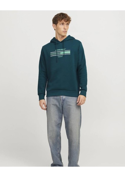 Jack&jones 12256820 Jjsouth Kapusonlu 3 Iplık Sweat modelleri