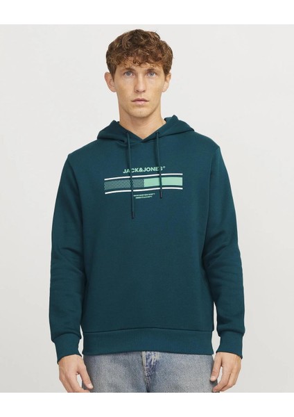 Jack&jones 12256820 Jjsouth Kapusonlu 3 Iplık Sweat fırsatları