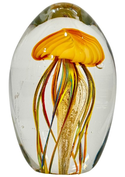 Cam Sarı Deniz Anası