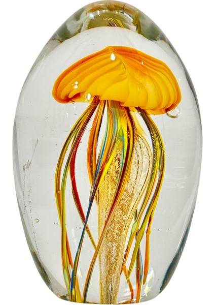 Cam Sarı Deniz Anası
