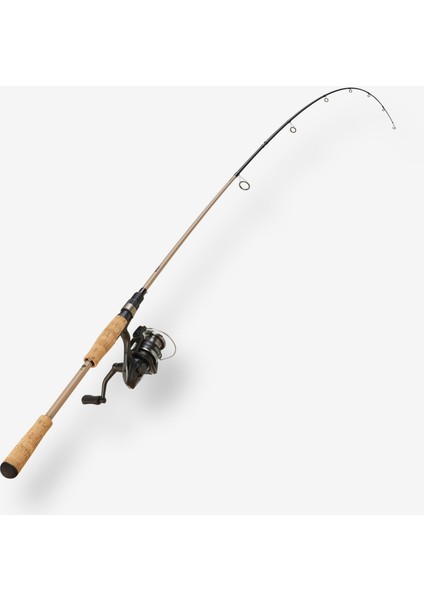 Kamış Makine Takımı - Sahte Yemle Balıkçılık - 2,10 M 7-21 gr - Wxm 100 Spinning