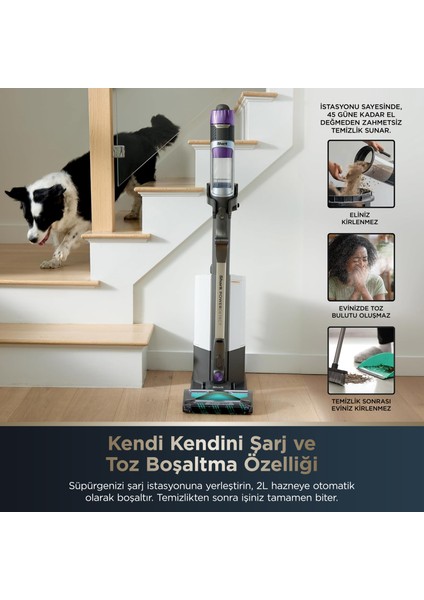 Powerdetect Clean&empty Pet Başlıklı Şarjlı Dikey Süpürge