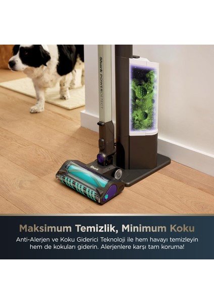 Powerdetect Clean&empty Pet Başlıklı Şarjlı Dikey Süpürge