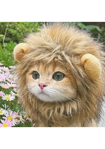 Kedi Kostümü Aslan Yelesi