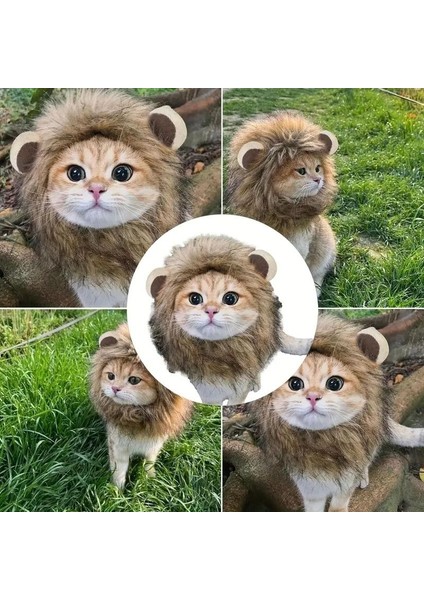 Kedi Kostümü Aslan Yelesi