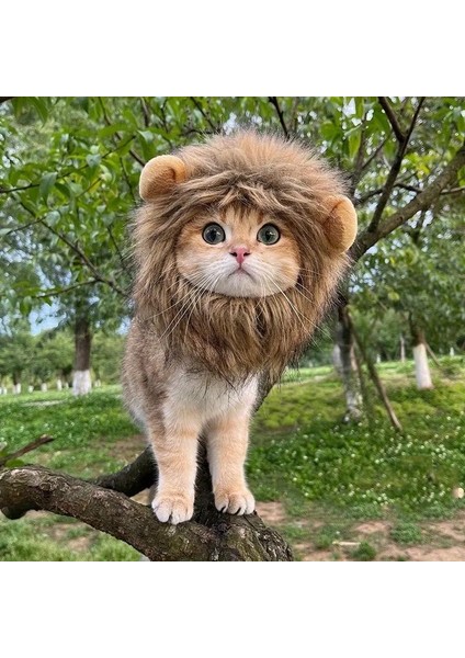 Kedi Kostümü Aslan Yelesi