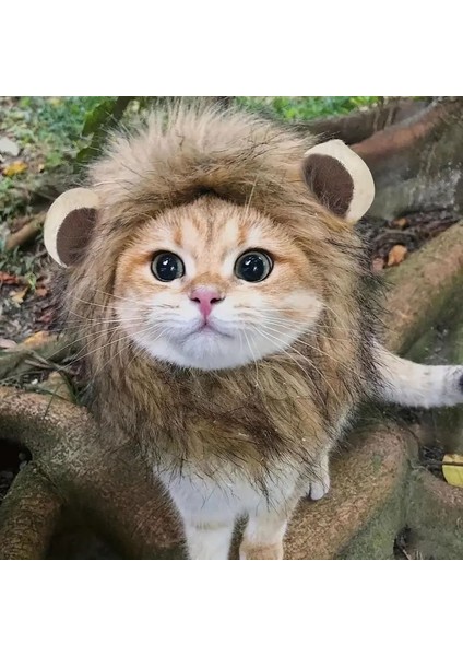 Kedi Kostümü Aslan Yelesi