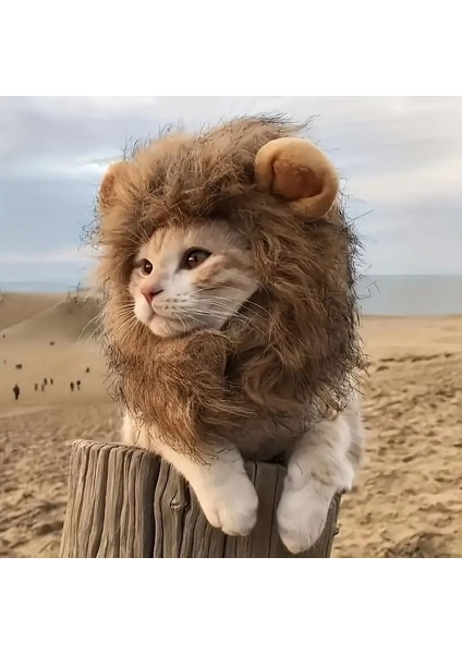 Kedi Kostümü Aslan Yelesi modelleri