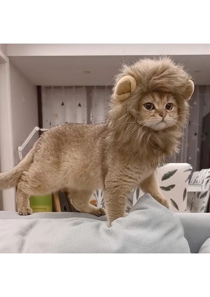 Kedi Kostümü Aslan Yelesi fırsatları