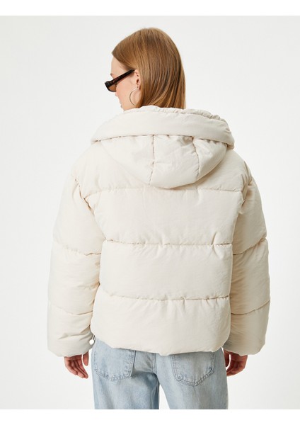 Kısa Şişme Mont Kapüşonlu Fermuarlı Cepli Rahat Kalıp fırsatları