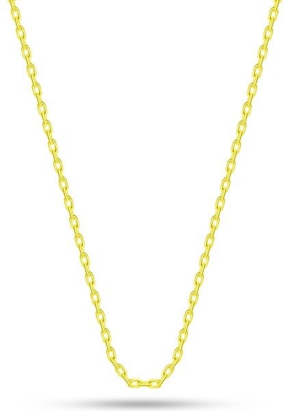 925 Ayar Gümüş Kolye Zinciri Altın Yaldızlı 45 cm Forse Gümüş Zinciri ST002