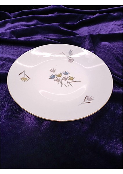 Alman Rosenthal Damga Pasta Tabağı