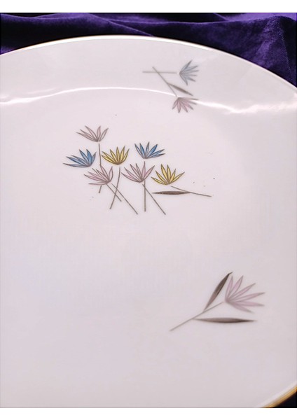 Alman Rosenthal Damga Pasta Tabağı