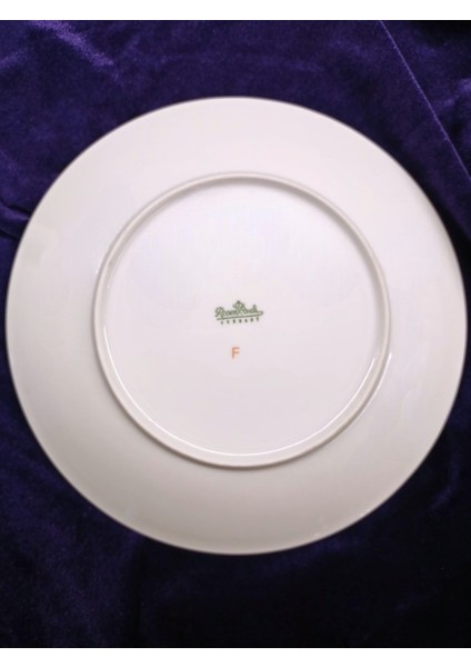 Alman Rosenthal Damga Pasta Tabağı