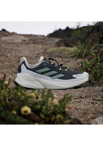 TERREX JP7064 ADIDAS NATIONAL GEOGRAPHIC TERREX TRAILMAKER 2 GORE-TEX HIKING SHOES fiyatları