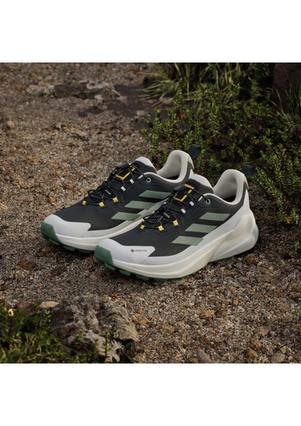 TERREX JP7064 ADIDAS NATIONAL GEOGRAPHIC TERREX TRAILMAKER 2 GORE-TEX HIKING SHOES fırsatları