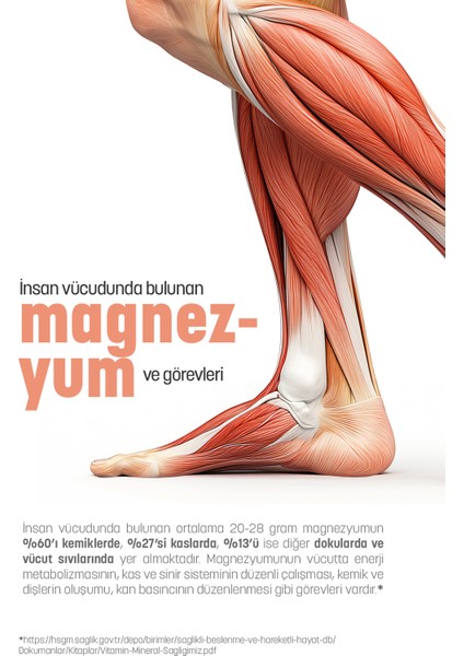 Magnezyum 60 Kapsül