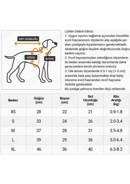Sevgililer Günü Kedi Köpek Sweatshirt