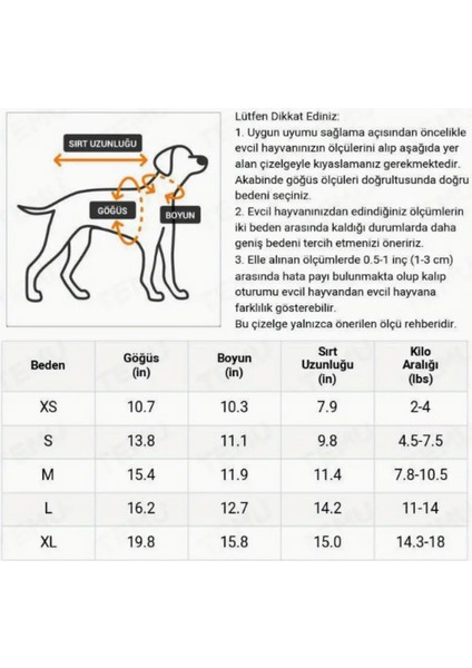 Kalpli Beyaz Köpek Kazak