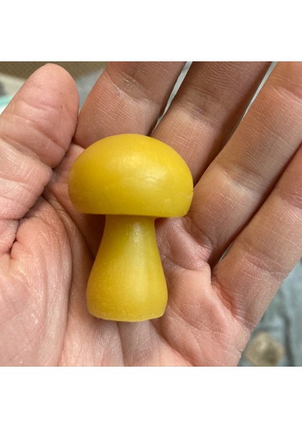 Üç Boyutlu Mantar 4,4cm Silikon Kalıp K-687 fırsatları