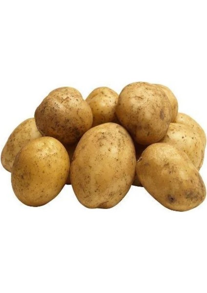 Yemeklik Patates 10 kg