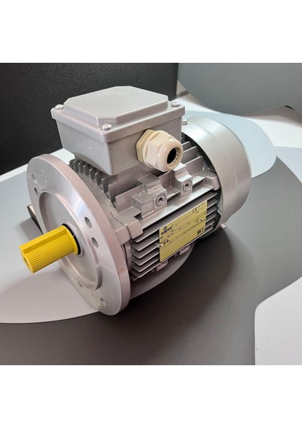 SEİPEE JM 90S4B5 MARKA ELEKTRİK MOTORU indirimleri