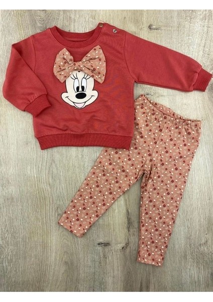 Minnie Desenli Fiyonklu Mevsimlik Bebe Takımı