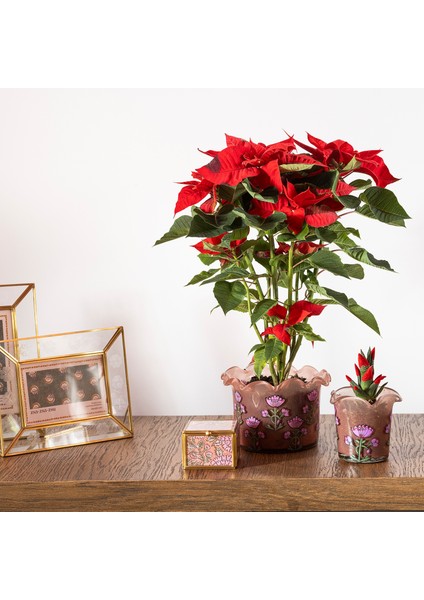 Aravalı Cam Dekoratif Kase 17X17X12 cm Pembe fiyatları