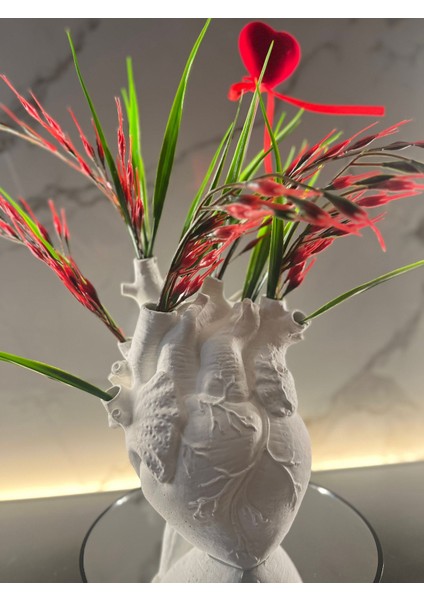 Anatomik Kalp Vazo 20 cm (Boyanabilir ve Çiçekler Sete Dahil Değildir)