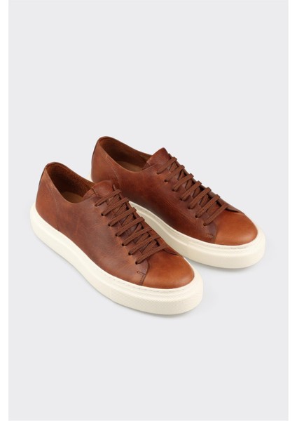 Taba Deri Erkek Spor Ayakkabı fiyatları