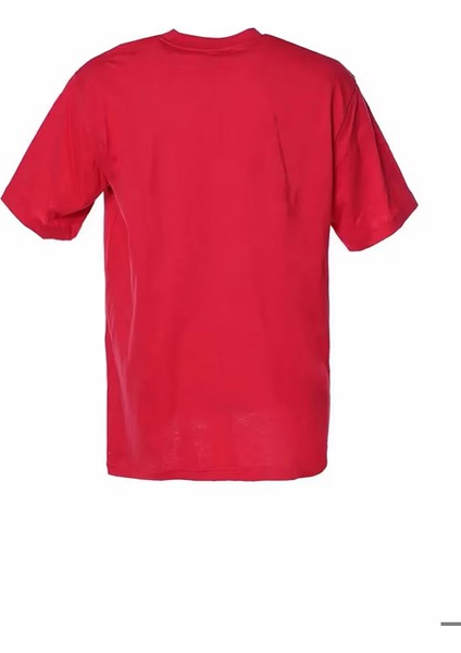 Senes Erkek Tişört 922217-3658 922217-3658003 fiyatları