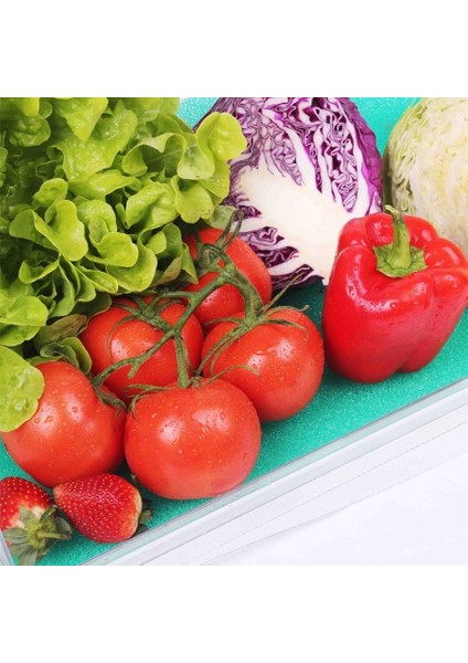 Buzdolabı Içi Kesilebilir Meyve Sebze Nem Önleyici Küf Koruyucu Mat fırsatları