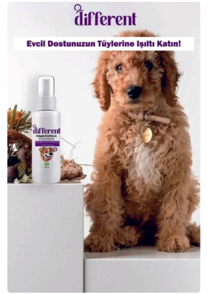Köpek Parfümü 175 ml