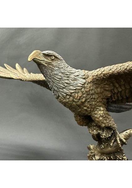 Kartal Biblo Büyük Kartal Dekor Kartal Heykel