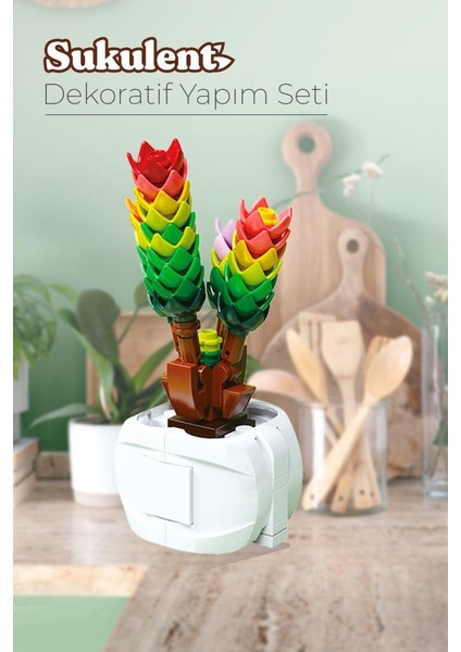 Iconic Dekoratif, Koleksiyonluk ve Sergilenebilir Blok Sukulent Çiçek Modeli Yapım Set