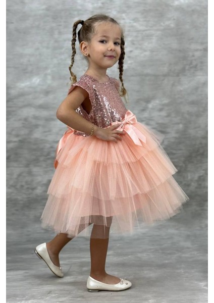 Tütü Etek Pul Payet Kız Çocuk Parti Elbisesi fiyatları