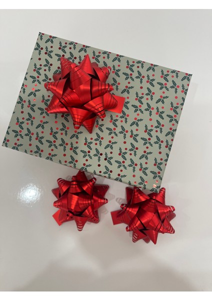5 Adet Kırmızı Büyük Boy Süs !!! Mat Metalize Kutup Yıldızı Süs / Paket Süsü /