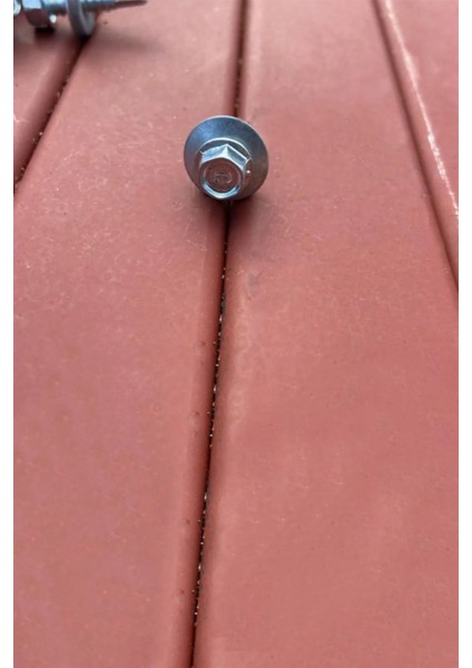 Trapez Çatı Vidası 4.8 x 19 mm Paket 250 Adet Matkap Uçlu Saç Akıllı Vida modelleri