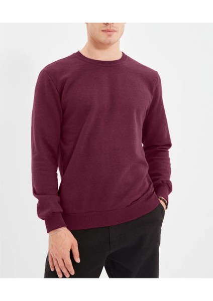 Regular Normal Kesim Içi Polar/sıcak Tutan Sweatshirt