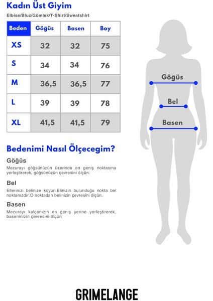 Rıccy Kadın Viskon Kayık Yaka Mini Gri Elbise