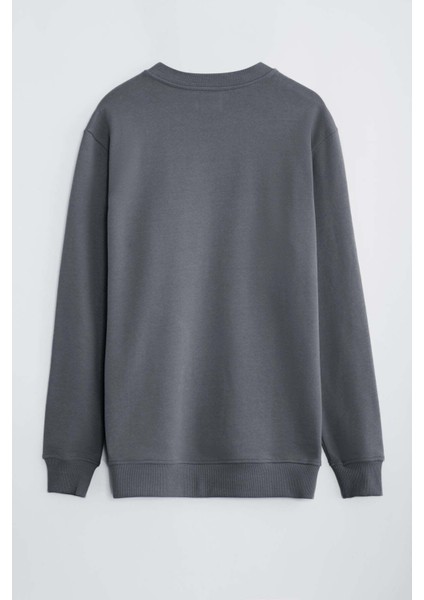 Travis Erkek Yumuşacık Kumaşlı Regular Fit Yuvarlak yakalı Koyu Gri Sweatshirt