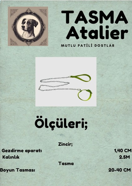 Küçük Boy Yavru Köpekler Için Zincirli Boyundan Bağlamalı Gezdirme Tasması
