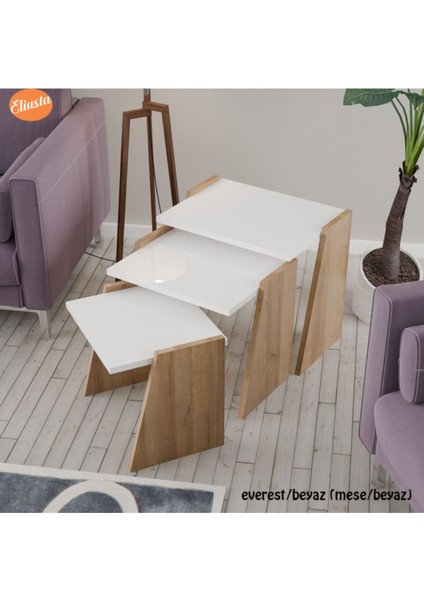 3 Lü Zigon Sehpa fırsatları