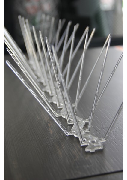 Kuş Savar Plastik Şeffaf (- 5 mt -)