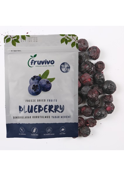 Dondurularak Kurutulmuş Yaban Mersini 20 gr, Vegan, Glutensiz Kurutulmuş Meyveler fiyatları