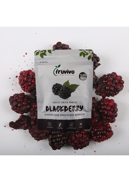 Dondurularak Kurutulmuş Böğürtlen 20 gr, Vegan, Glutensiz Kurutulmuş Meyveler fiyatları